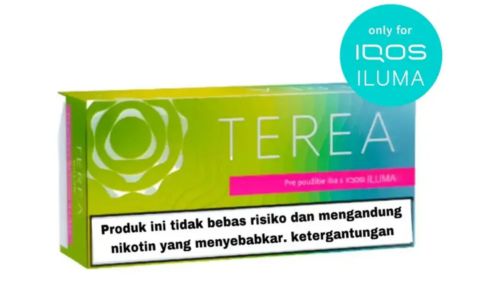 Heets TEREA Bright Wave Sticks Indonesia Version
