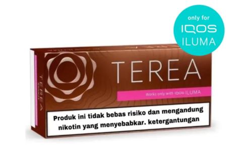 Heets TEREA Bronze Sticks Indonesia Version