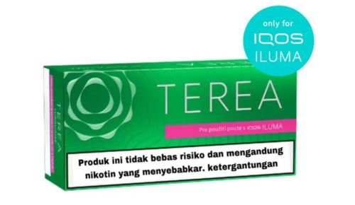 Heets TEREA Green Sticks Indonesia Version
