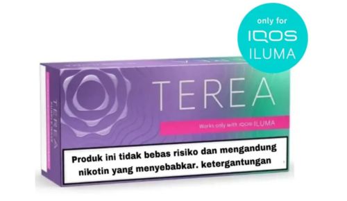 Heets TEREA Purple Wave Sticks Indonesia Version