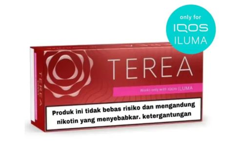 Heets TEREA Sienna Sticks Indonesia Version
